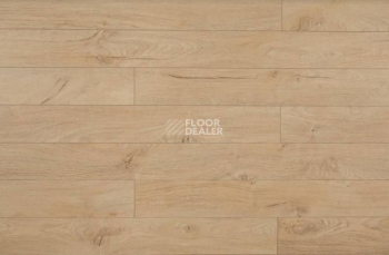 Ламинат Kronopol Platinium Cuprum d3325 Дуб Верона фото 1 | FLOORDEALER